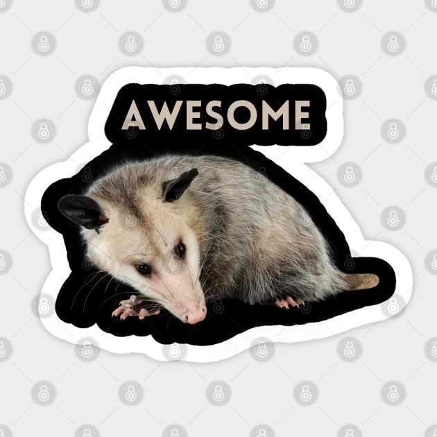 Awesome Opossum Sticker by tocksickart